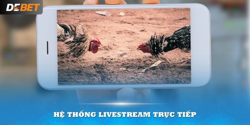 Với hệ thống livestream trực tiếp sẽ giúp bạn theo dõi trận đấu chi tiết hơn