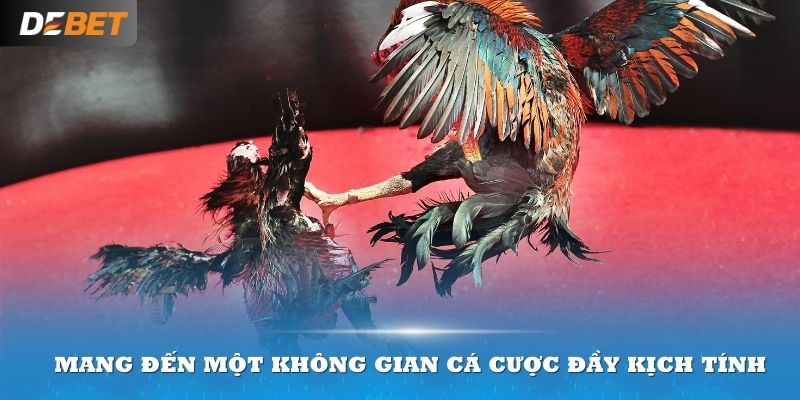 Sảnh trò chơi này tại Dabet mang đến một không gian cá cược đầy kịch tính